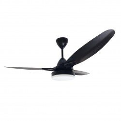 Senorita Remote Ceiling Fan...