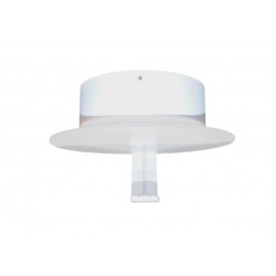 Pom 5W LED Wall Light