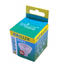 LED Dichroic Lamp GU5.3 12V 5Watt